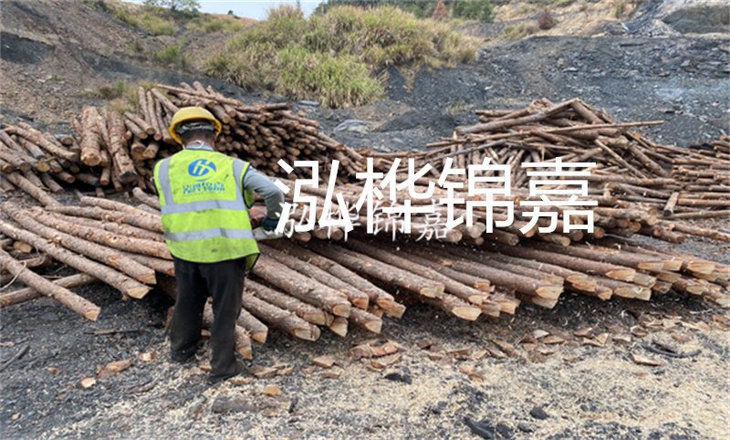 香柏木價格多少一立方-打造舒適家居,從選擇香柏木開始