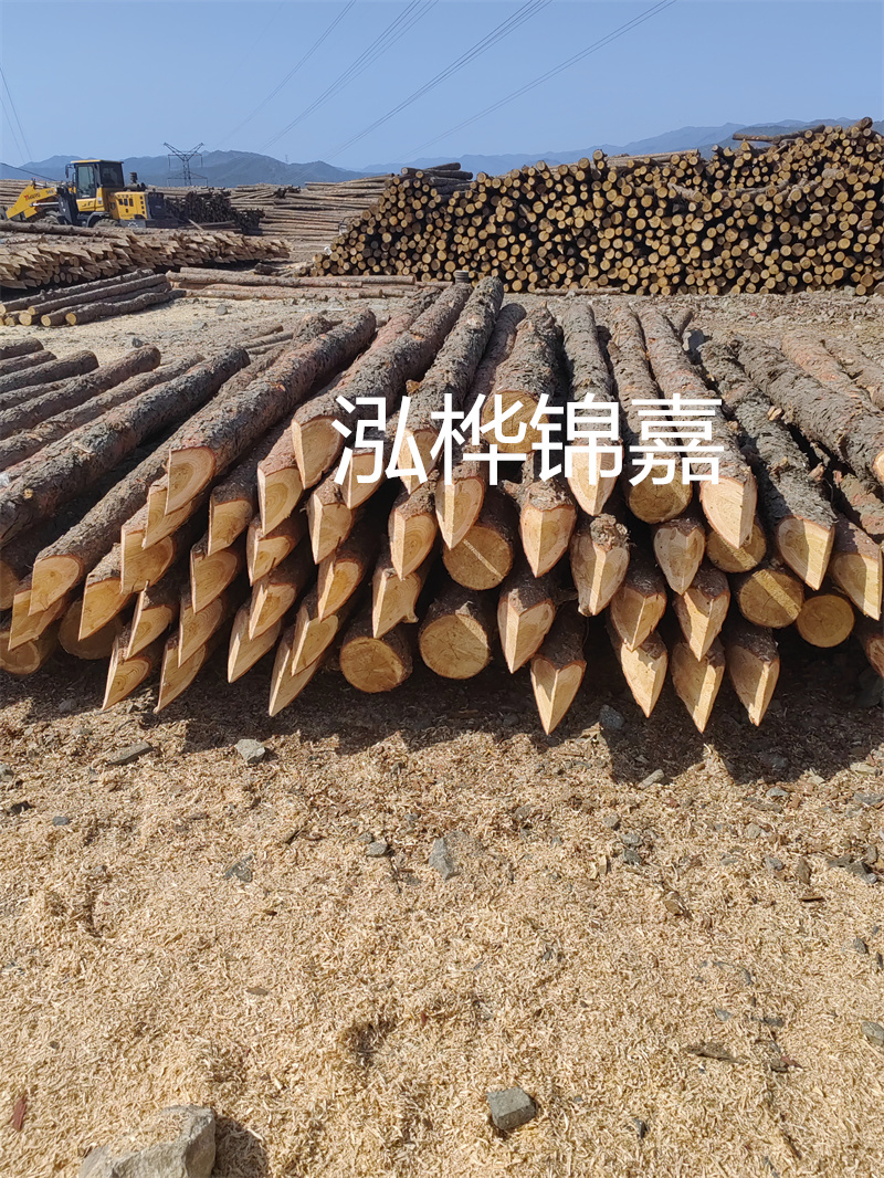 全國松木樁方定額費(fèi)用查詢,省時(shí)省力掌握松木樁價(jià)格