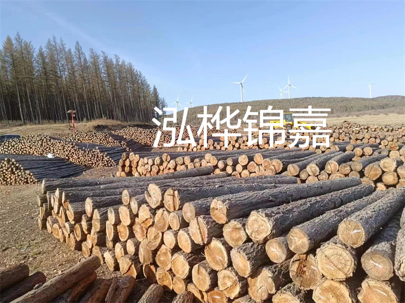 探秘芬蘭松木:優(yōu)勢、特點(diǎn)及與國產(chǎn)松木的區(qū)別