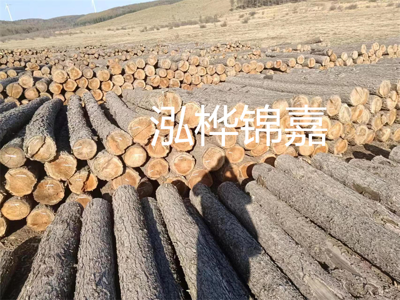 金杉木板材:輕好、重好的選擇